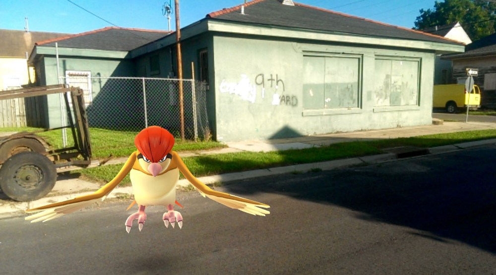 Pokemon in the Ninth Ward